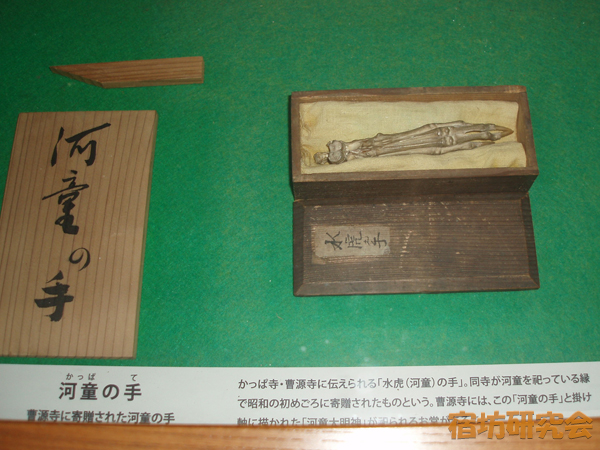 曹源寺の河童の手のミイラ