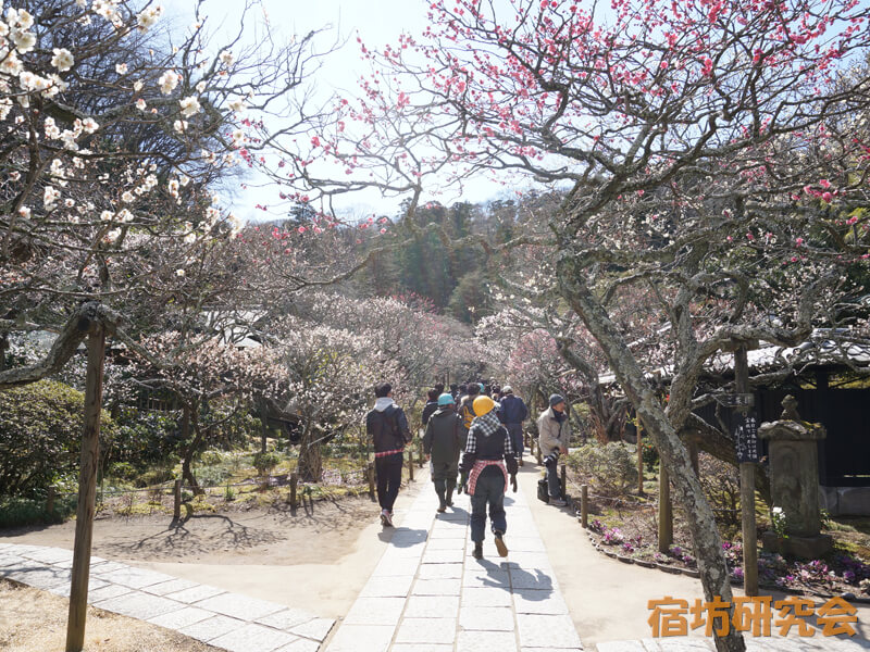 東慶寺（神奈川県 北鎌倉駅）