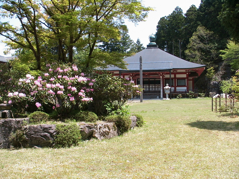 上池院の本堂と石楠花