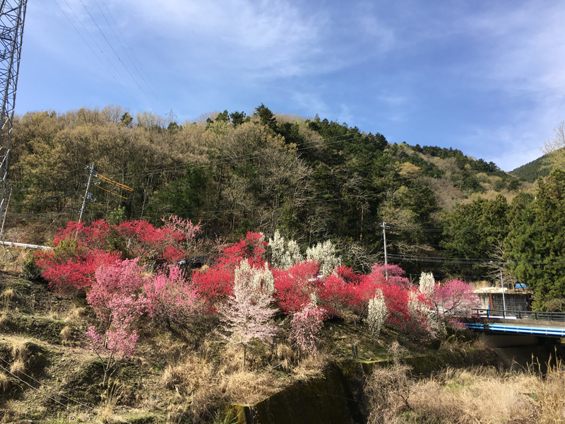 円崎工業周辺