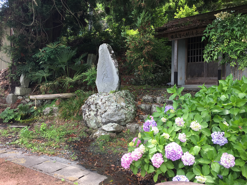 姥清水