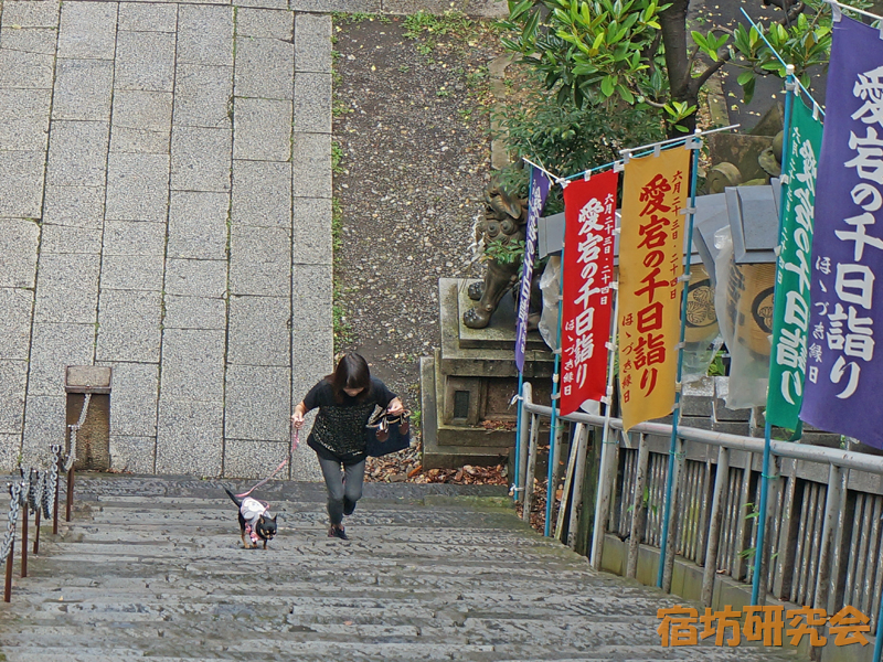 愛宕神社の出世の石段