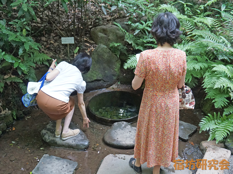 明治神宮の清正井