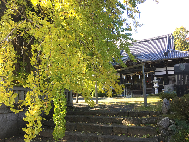 本国寺の紅葉