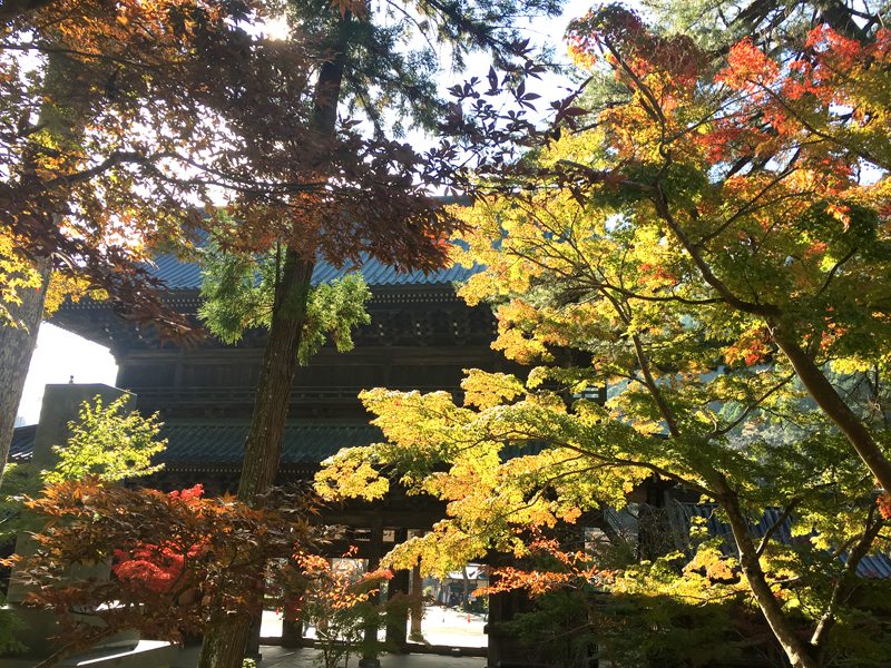 身延山三門周辺の紅葉
