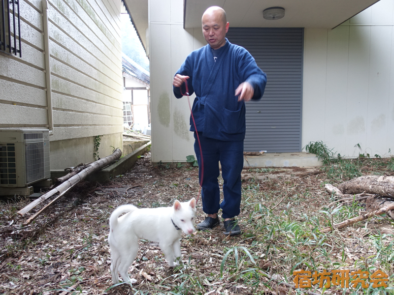 洞春寺のダブル住職