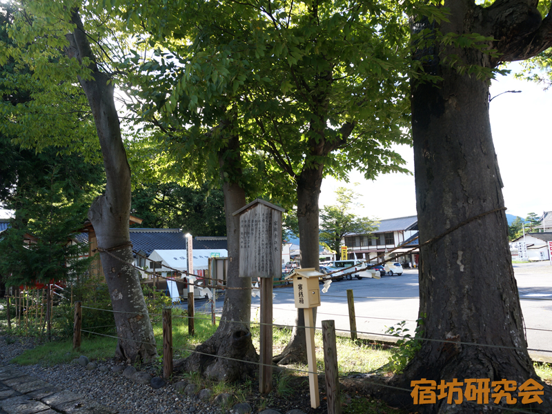 生島足島神社の家族幸の木