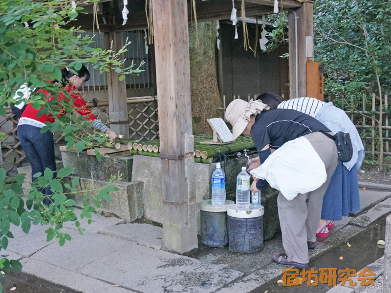 梨木神社の染井