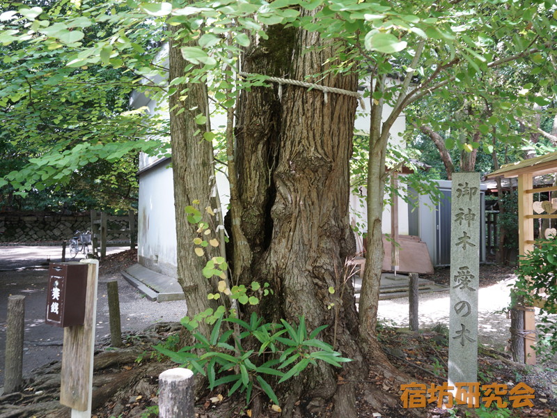 梨木神社の愛の木