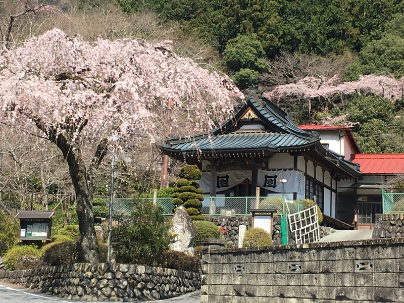 身延山の定林坊