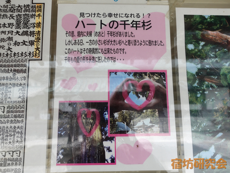 清澄寺のハートの千年杉案内