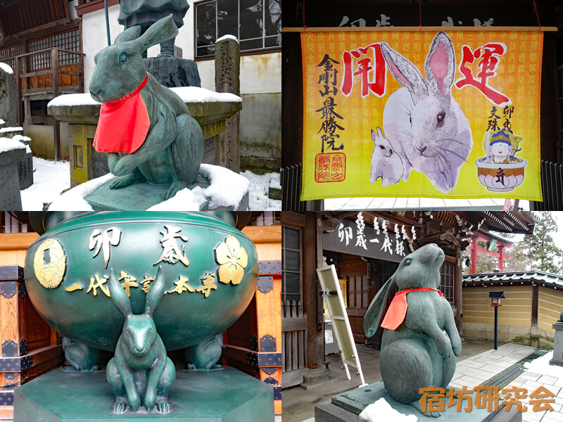 最勝院のうさぎ