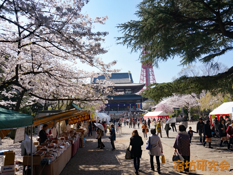 増上寺の桜